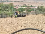 الاحتلال يقتلع 166 شتلة نخيل وحمضيات ويدمر خط مياه شمال أريحا