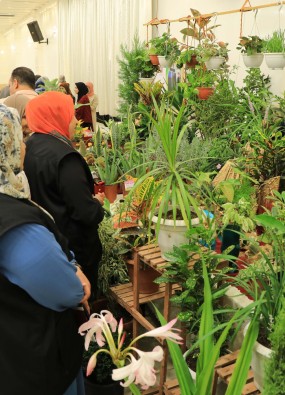 "هُدنة" مع البيئة في معرضٍ للمبادرات النسوية بغزة