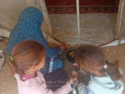 الزوجات العالقات.. قلوب معلقة بقرار "لم شمل" تأخر