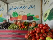 لافتات اليد.. إعلان البقاء في زمن الحرب