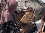 من تحت الأنقاض إلى سطح المنزل.. نفين وحسين يعيدان تربية النحل